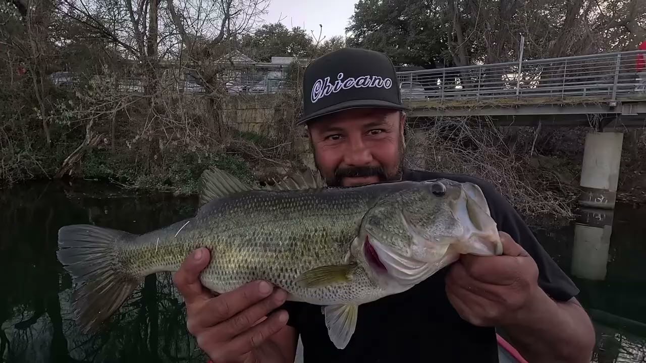 Bass Fishing on ladybird lake