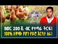 በወር 200 ሺ ብር የተጣራ ትርፍ 100 አዋጭ የሆነ የዶሮ እርባታ ስራ Chicken Farming Business Gebeya Review 