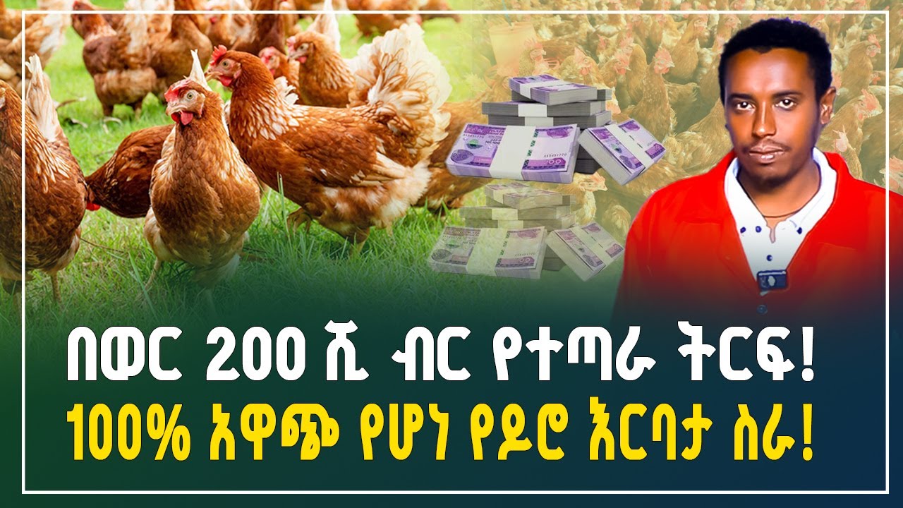በወር 200 ሺ ብር የተጣራ ትርፍ! 100% አዋጭ የሆነ የዶሮ እርባታ ስራ! | Chicken farming business | Gebeya Review 