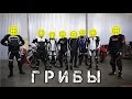 Грибы - Тает Лёд (Мото Версия)