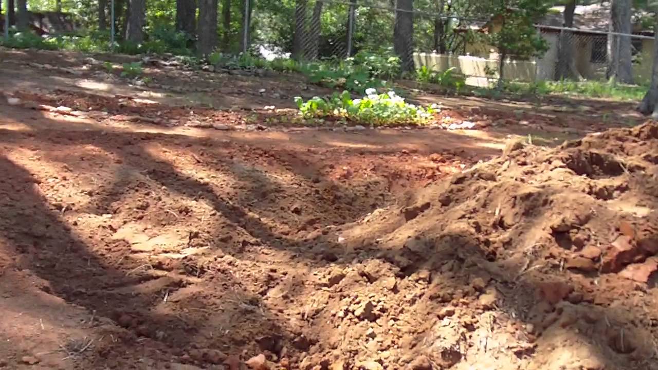 Herb garden, dirt delivery. YouTube