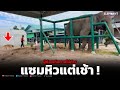 Ep1❗️พี่เเซมหิวเเต่เช้าเลย⭕️#elephant#ช้าง