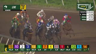 Vidéo de la course PMU GIMNASTA H.