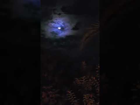 ولليل طويل البال