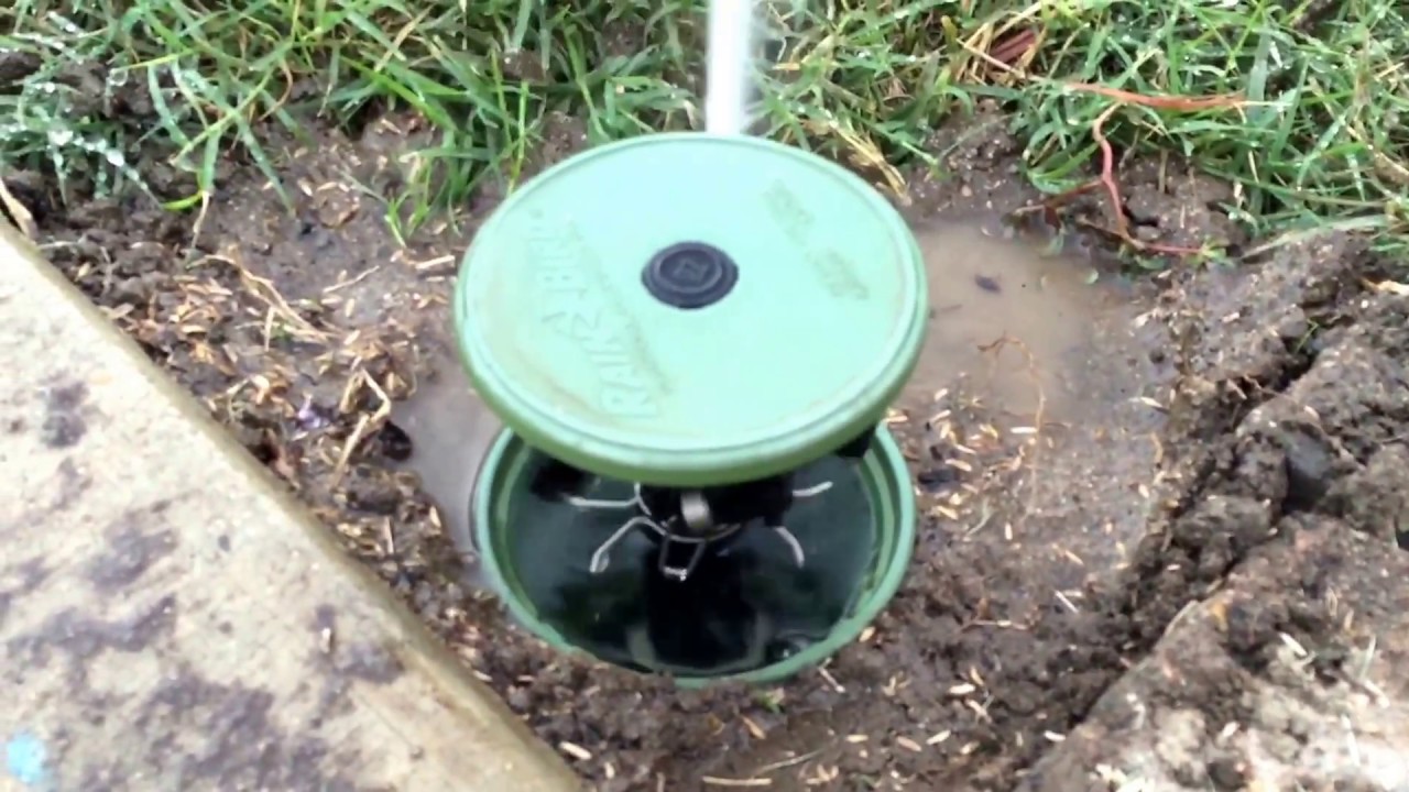 ea  Rainbird Mini-Paw LG-3 Pop Up Low Gallonage Impact Sprinkler Head 4 