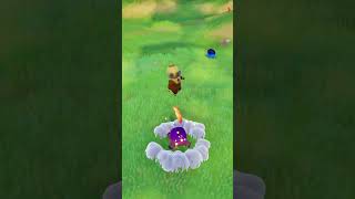 Shallow Pond Water Spray In Demo