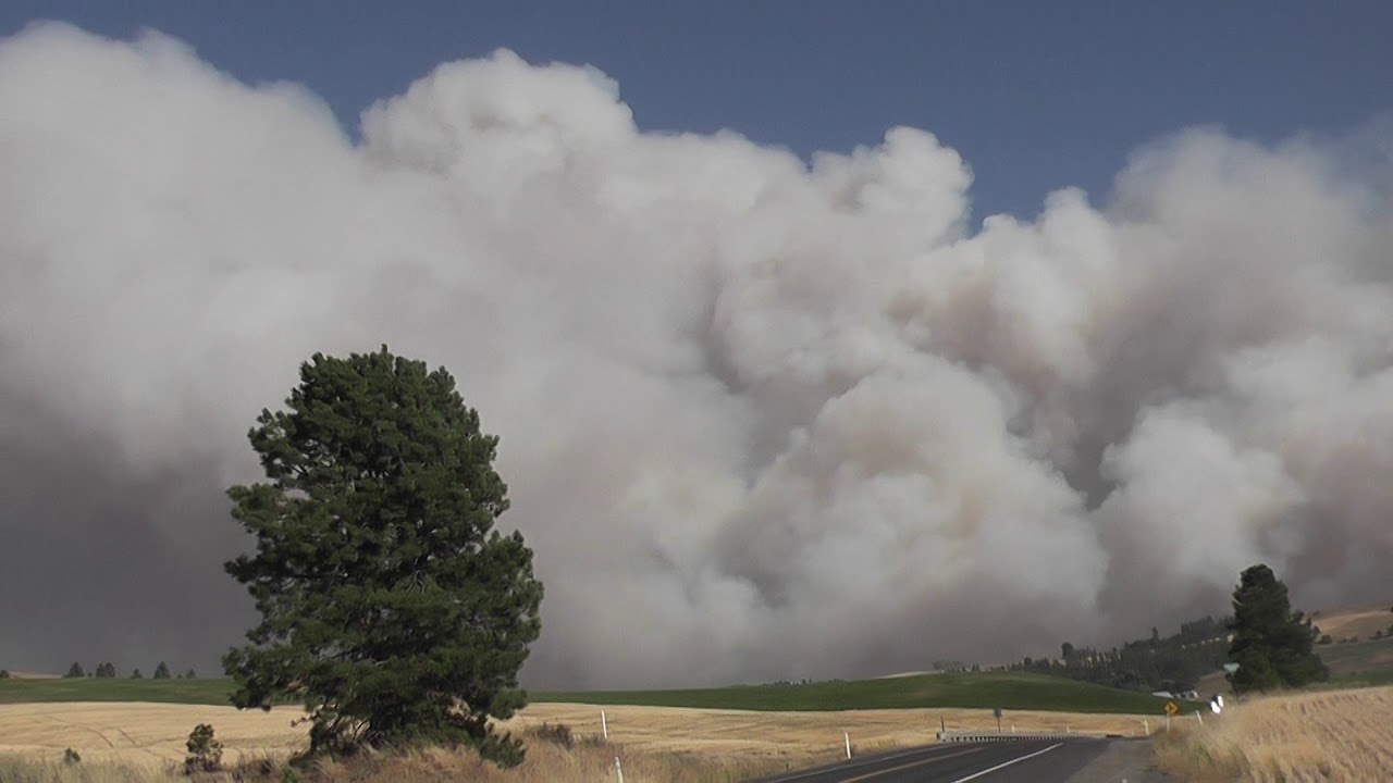 Captain Jokeswell  Didn't Go Too Close to the High-Wind Wild Fire