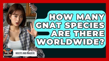 How Many Gnat Species Are There Worldwide? - Insects and Invaders