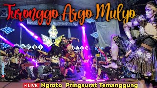 BRANDHAL BUDHAL 🔥 TAM || Turonggo Argo Mulyo Pringsewu Live  Ngroto Kalitengah Pringsurat Temanggung