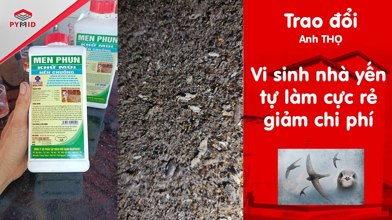 Trao đổi vi sinh nhà yến tự làm cực rẻ giảm chi phí bà con