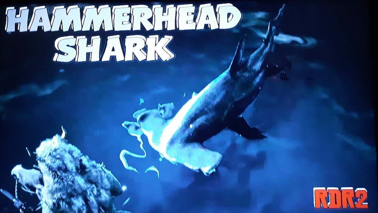 Hammerhead & Tiger SharksRDR2 YouTube