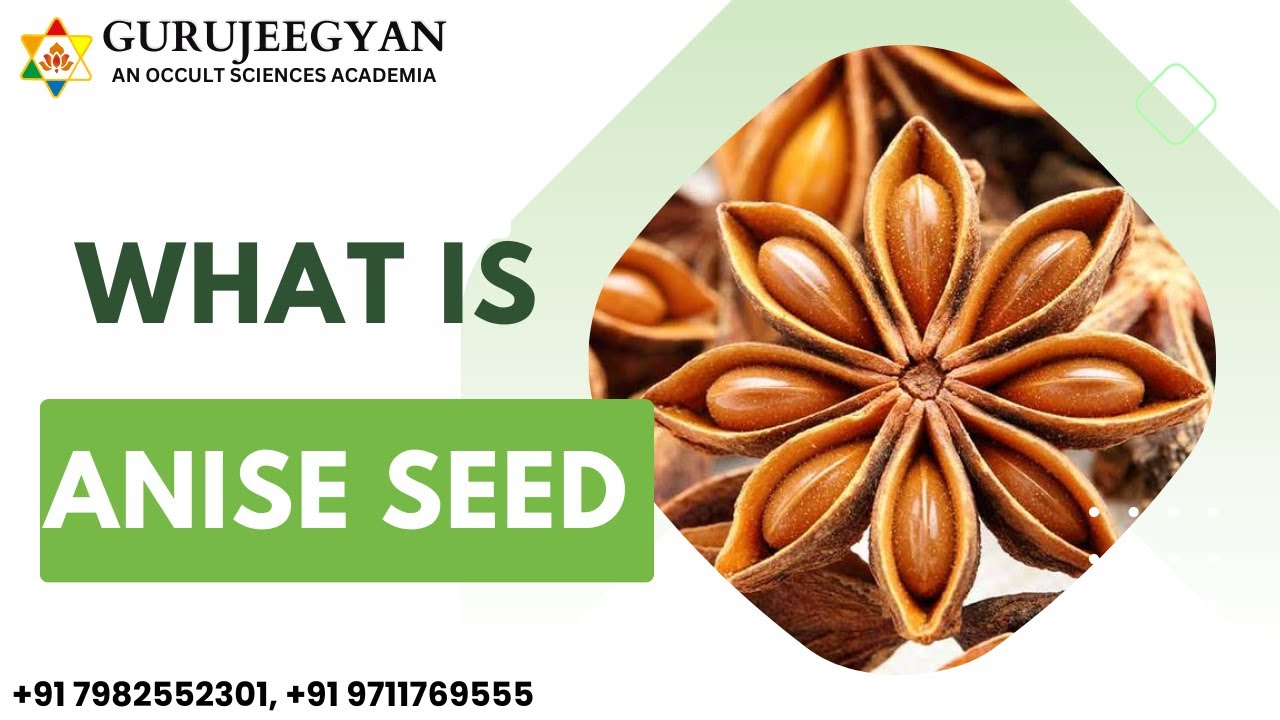 What is Anise Seed / herbs YouTube