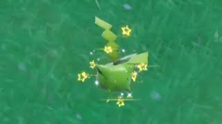 ALMOST A SHINY FAIL!!!! A Random Shiny Hoppip That Was Almost Blown Away!!!!