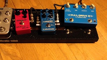 Maxon (Ibanez) AD-80 vs TC Electronic Flashback (Analog Delay)