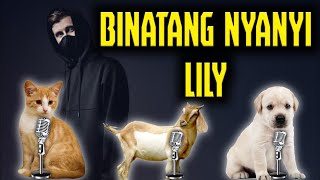 🎤 KUCING, ANJING, KAMBING NYANYI LAGU LILY DJ FULL BASS