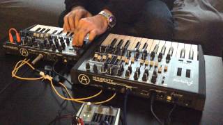 Video thumbnail of "Old-school sequencing with minibrute and microbrute"