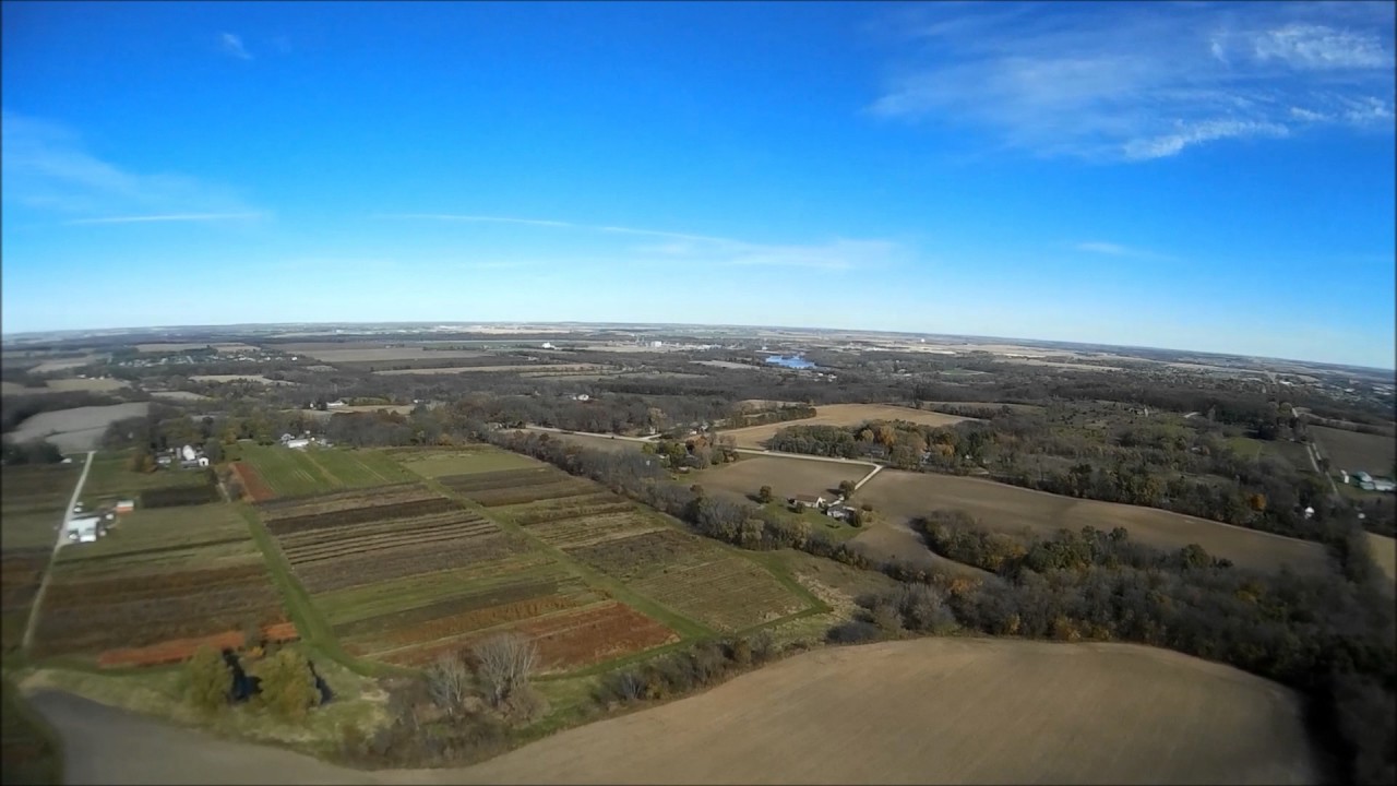 Blooming of beloit end of season