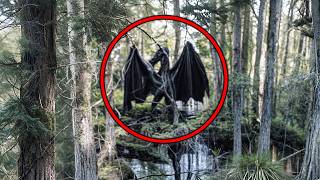 They Recorded It in The Amazon Jungle & No One Could Believe It!