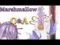 【Q&A】Question Answering Time!!【FIRST STAGE PRODUCTION EN】