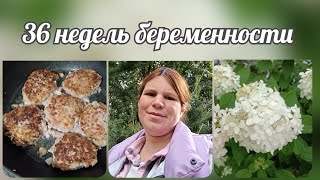 картинка: 36 неделек 🤰🏻/ Ходила к эндокринологу / Что готовлю? 🫑/ Покупки к школе 🎨