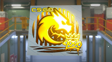CS2 Updated SPIRIT Gold RMR Sticker