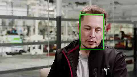 FaceNet - OpenVINO processed video