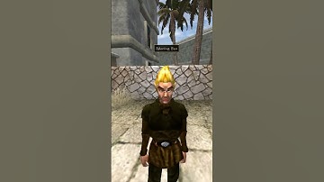 Killing the adoring fan in Morrowind every day until Skywind and Skyblivion are released Day - 779