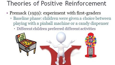 PSYC 370 Video Lecture - Relative Value Theory
