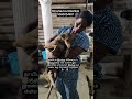 🐾#disabled #accident #rescuedog #straysavioursmetilda
