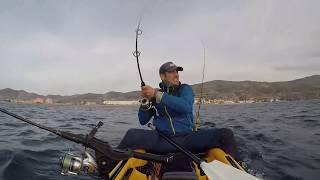 Picada de atun al vivo en la costa de Granada