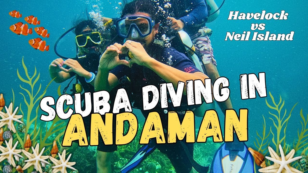 Best Scuba Diving in Andaman | Havelock vs Neil Island | Andamans Complete Tour Information