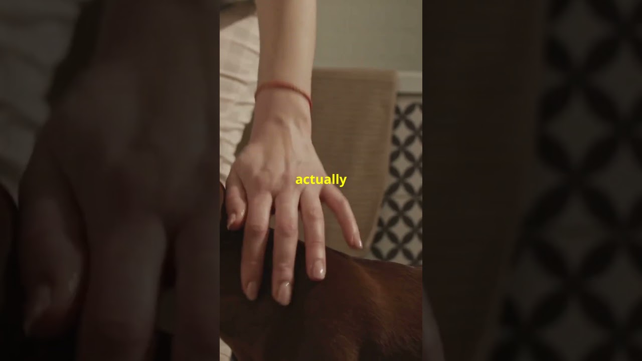 Boost Your Day with Pet Love!  