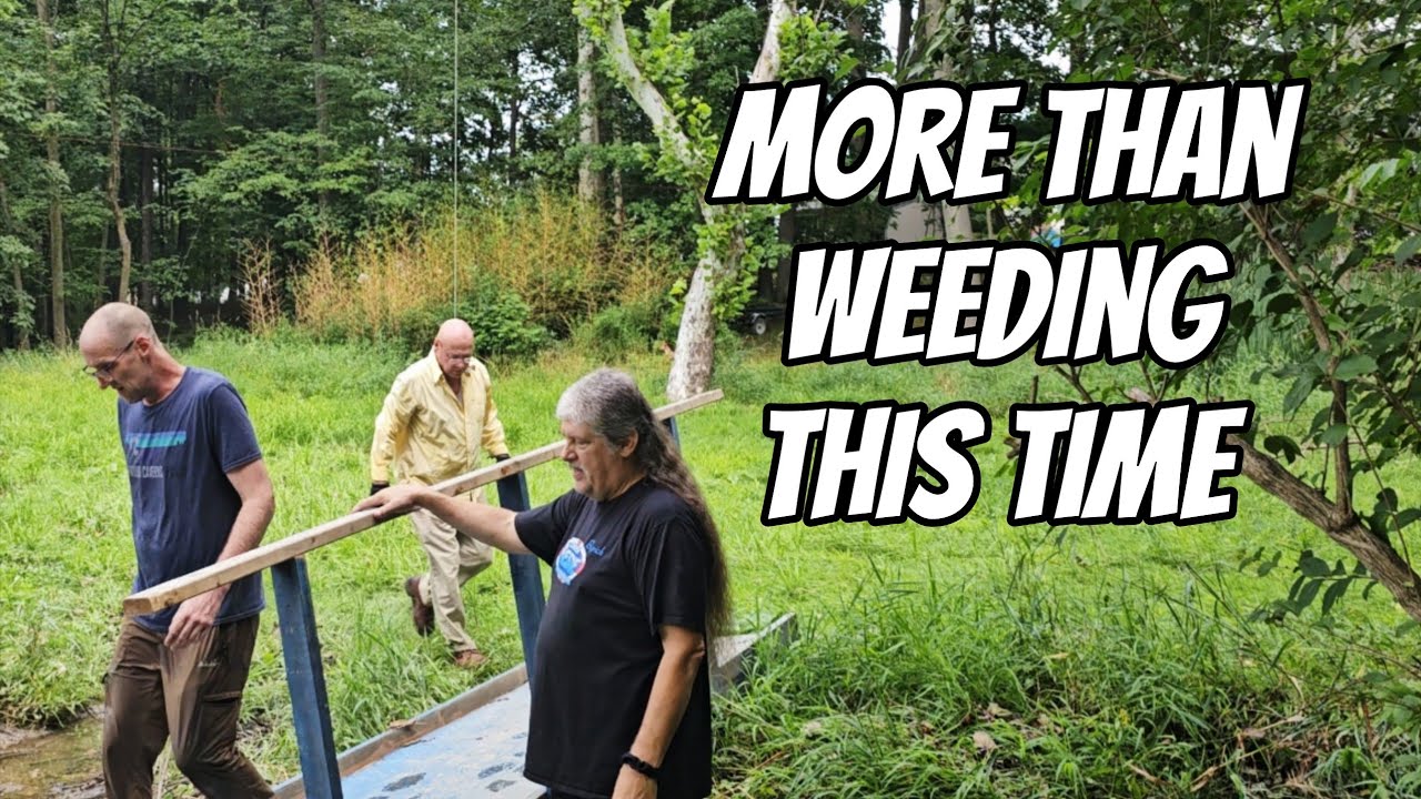 More Than Weeding This Time 