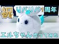 【祝1周年】エルちゃんのぬいぐるみ作ってみた【リバリバ】 thumbnail