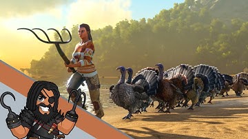 Ark | ALL Turkey Trial 4 Admin Commands