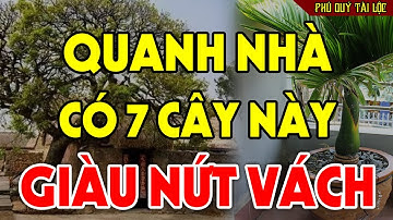 Cứ Trồng 7 Cây Này QUANH NHÀ Để HÚT TÀI LỘC VÀO NHÀ, Tiền Vàng Ùn Ùn Kéo Đến Tiêu 3 Đời Không Hết