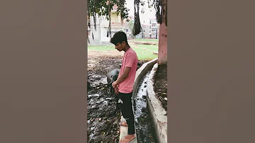 Ek Janwar Bhi Lnsan Se Itna Hi Pyar Karta Jitna Ek Lnsan Comedy Shorts Funny India 
