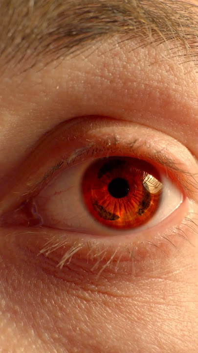 Uchiha Naori: Real Life Mangekyou Sharingan 2.0 - Enhanced Smooth Animation