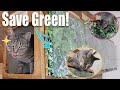 Save green plant wall from the cats!
