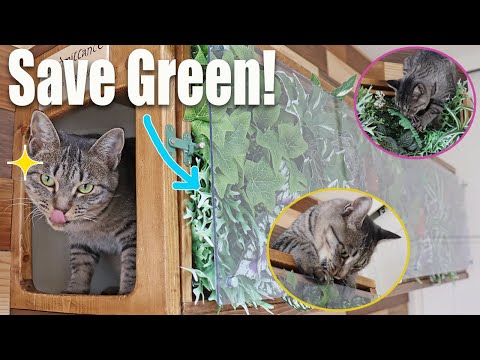 Save green plant