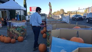 Pumpkin Patch Date!