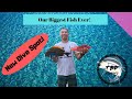 Shooting our biggest fish ever dive shoot eat