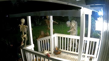 Reolink Captures: Skeleton theives