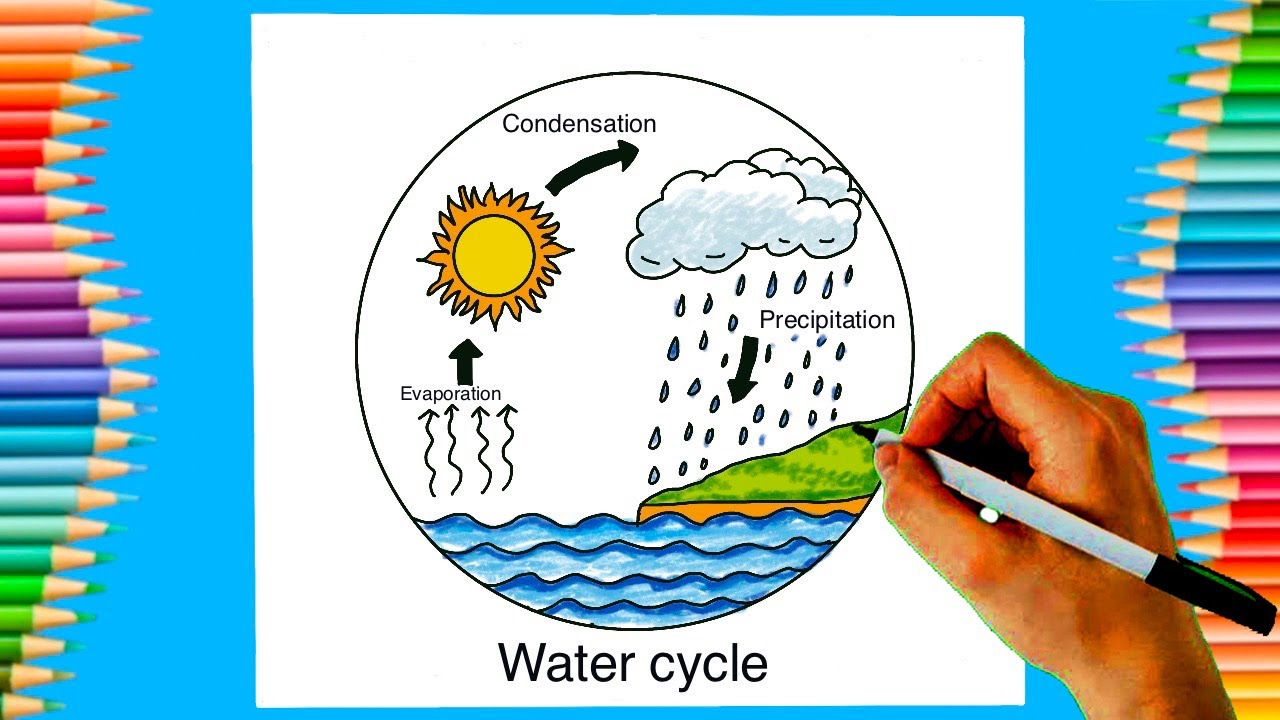How to draw Water Cycle for a School Project | Very Esay | Step by step  water cycle drawing #all - YouTube