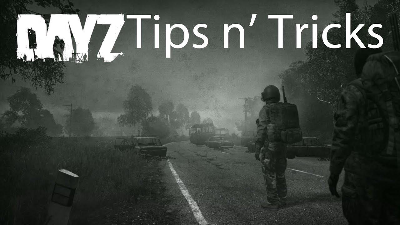 DayZ Playstation 4 Tips & Tricks for Beginners Guide Survival