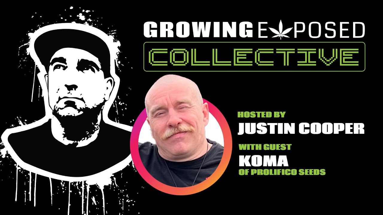 Justin X Koma of Prolifico Seeds | Veteran Cultivator