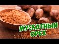 Пряности и приправы 🌟 МУСКАТНЫЙ ОРЕХ 🌟 Обзор от HItsadTV