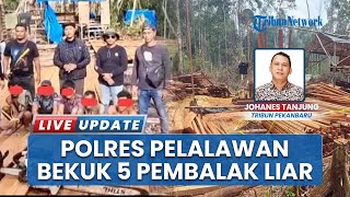 Aktivitas Ilegal Logging di Pelalawan Terbongkar, 6 Pembalak Liar Diringkus, Sikat Kayu di Hutan