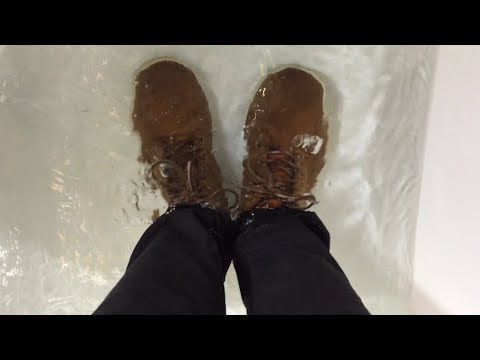 wet timberlands