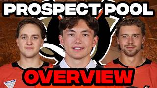 Prospect Pool Overview: Anaheim Ducks (2026 Edition)